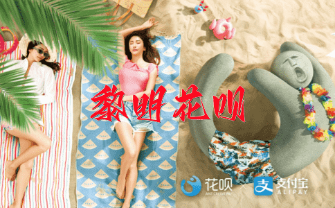 ﻿长篇累牍花呗